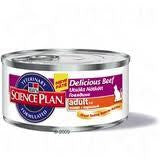 Hill's Science Plan Feline Adult - Beetle