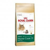 Royal Canin Maine Coon Adulto - Beetle
