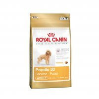 Royal Canin Poodle Caniche Adulto - Beetle